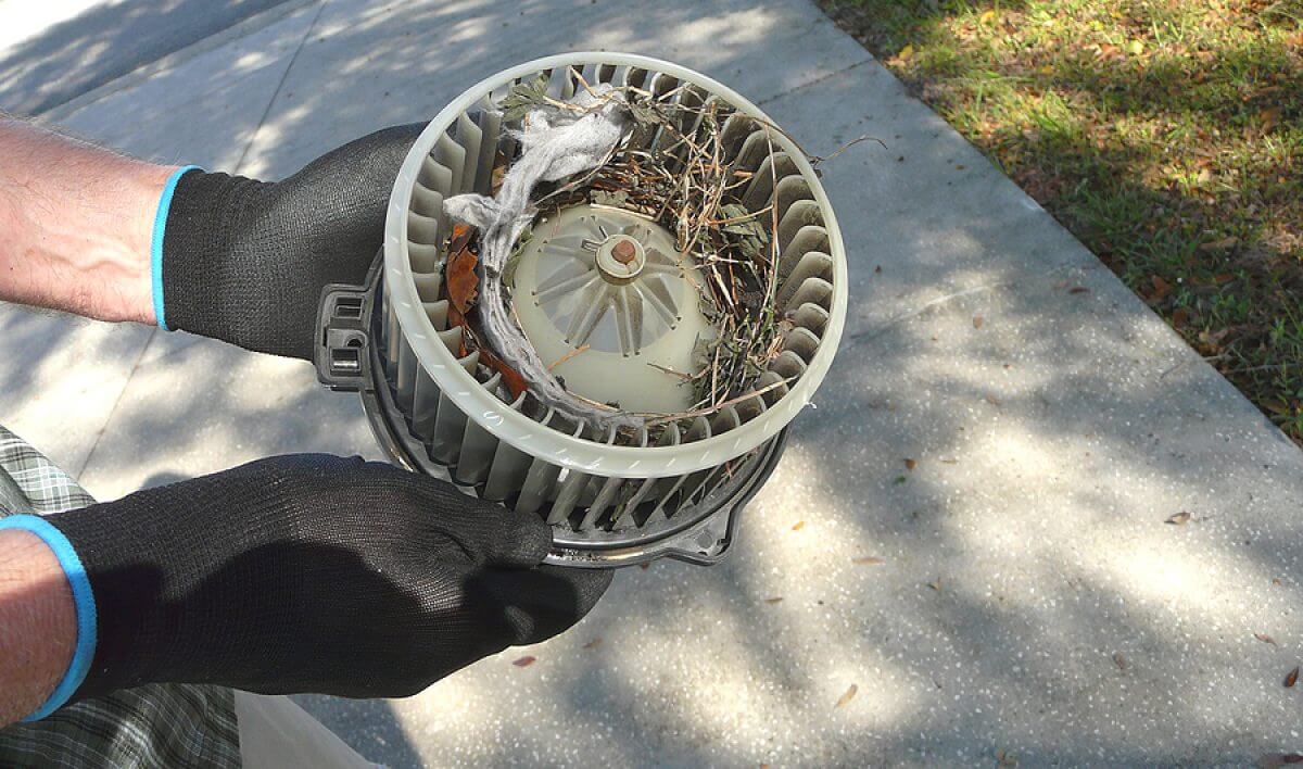The Shop KY Services AC Heater Repair Blower Motor Replacement
