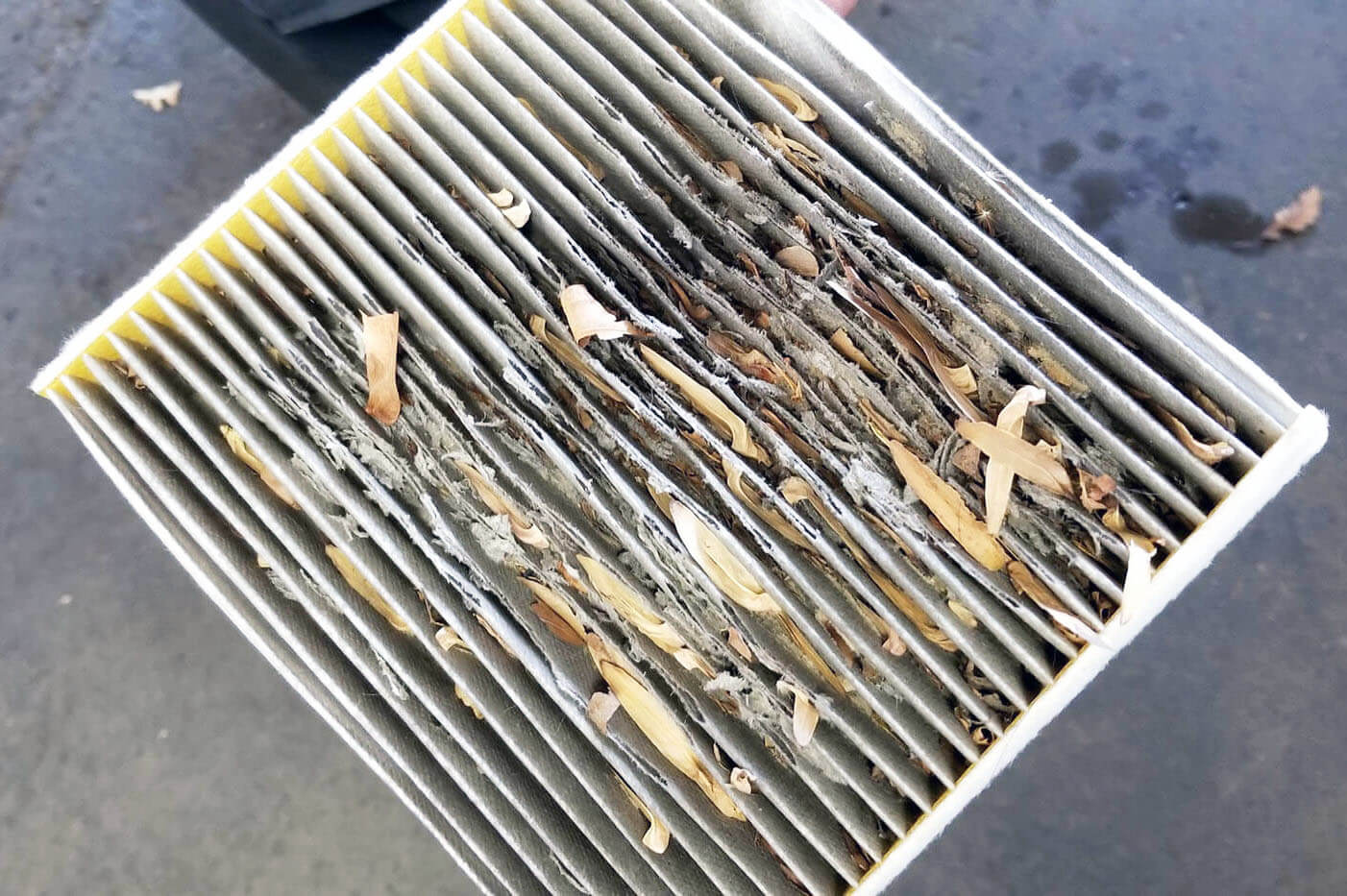 The Shop KY Services AC Heater Repair Clogged Cabin Air Filter 1